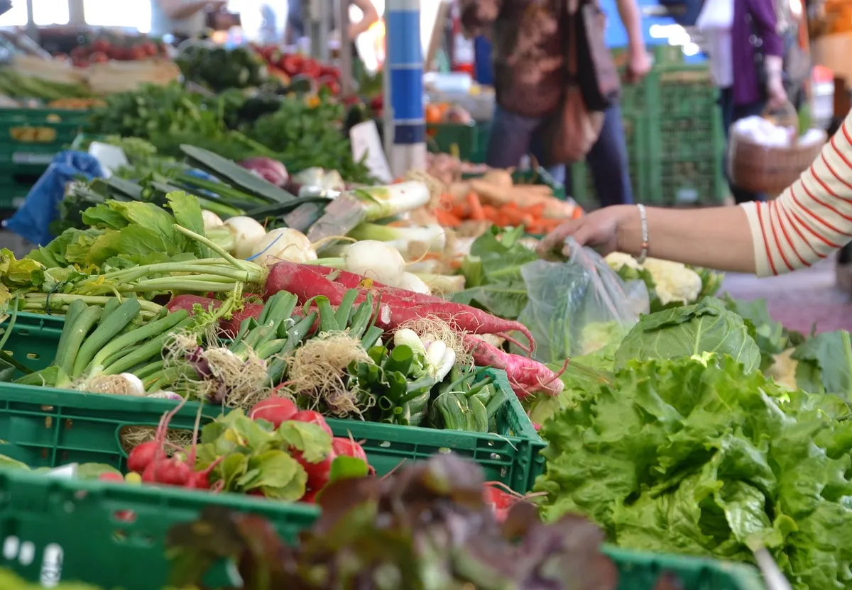 market, vegetables, produce, harvest, organic, fresh vegetables, vegetable stand, vegetable market, farmer's market, market day, farmers local market, market st