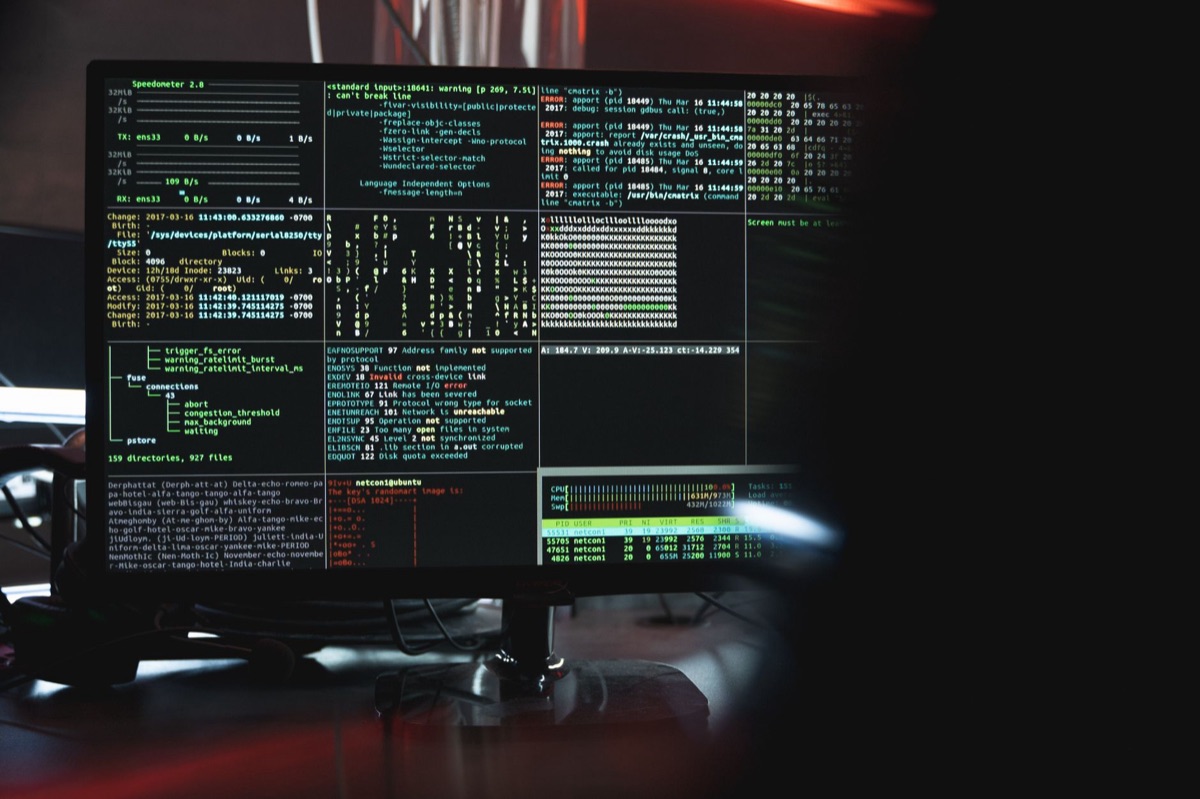 vector database interface with data visualization